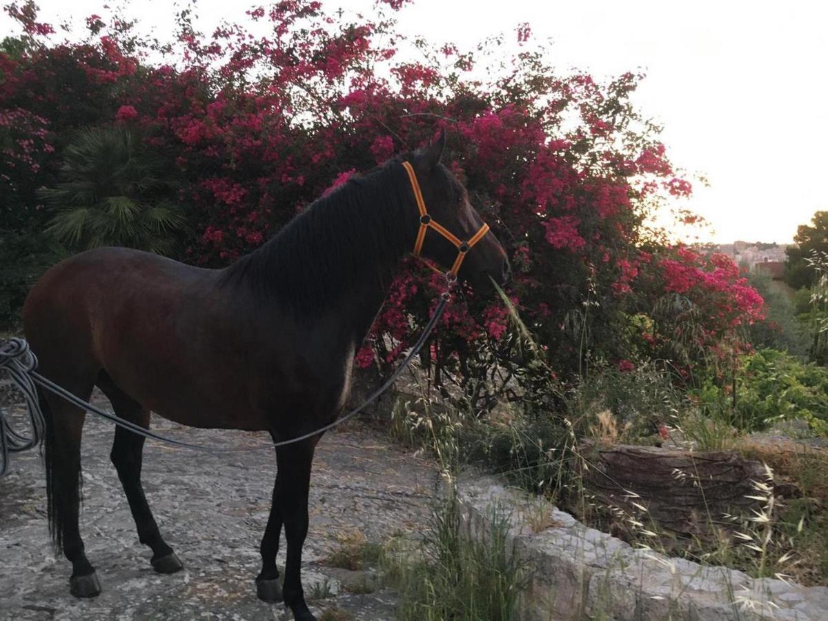 Country Sicily Home Favara Exterior foto
