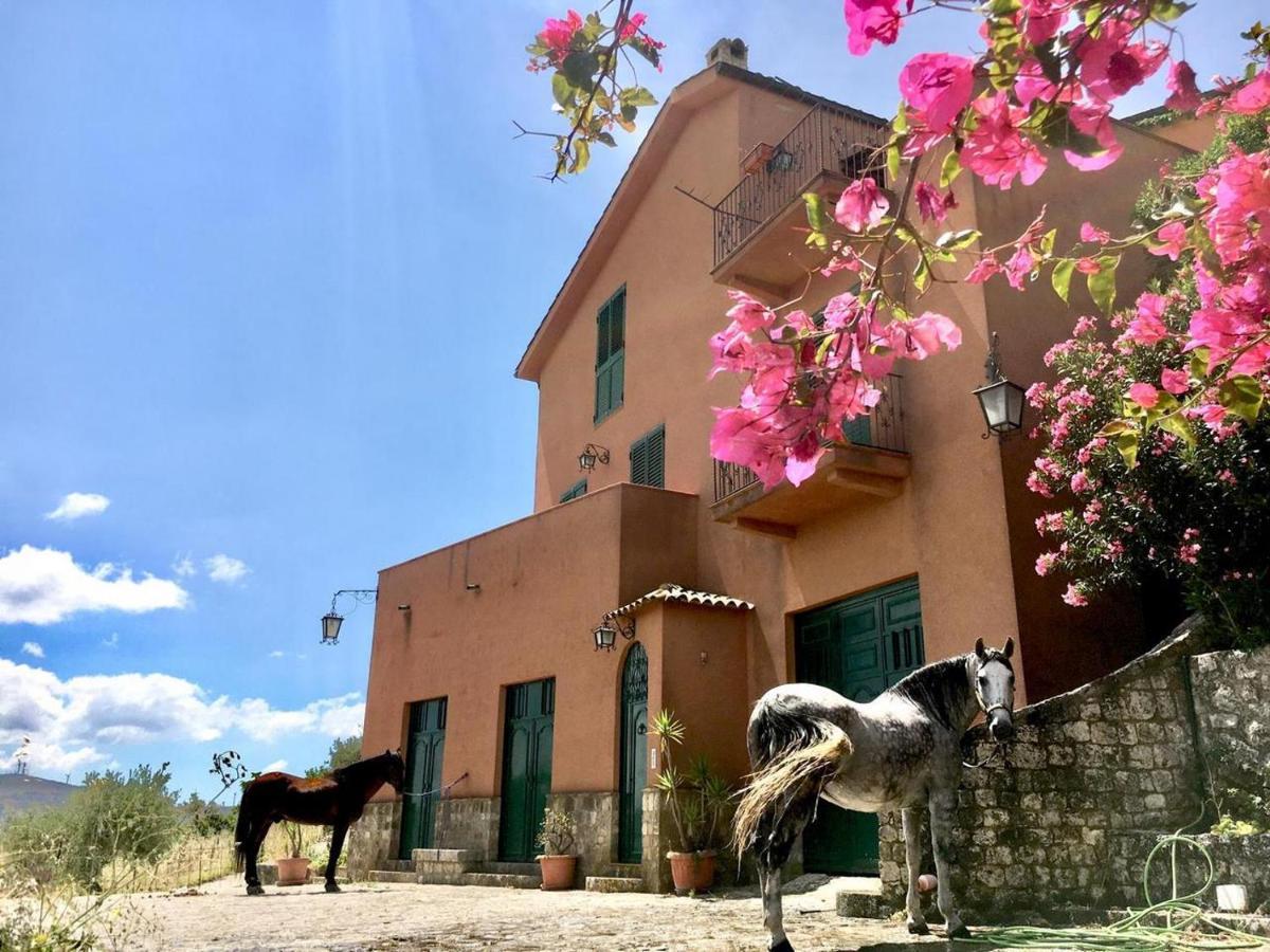 Country Sicily Home Favara Exterior foto